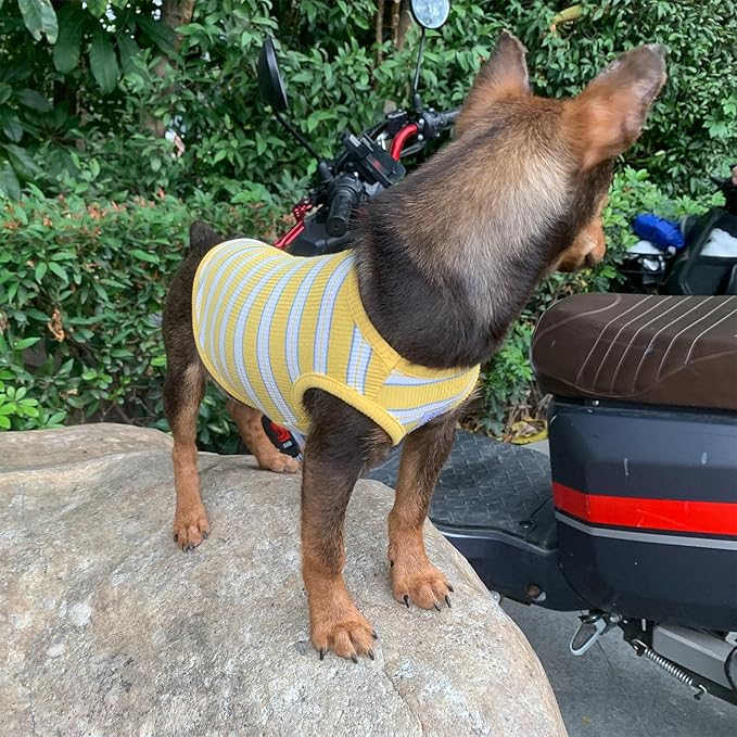 YQYS Dog Shirts Multi-color Striped Cotton Vest for Small Dogs and Cats Puppy Clothes Teacup Dog Clothing Tank Top for Chihuahua Miniature Pinscher Yellow Large