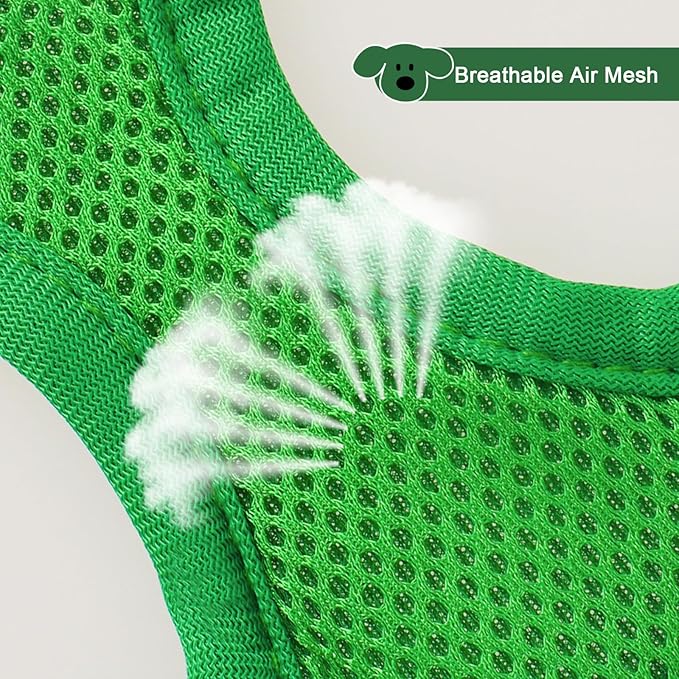 YIMEIS Dog Harness and Leash Set 1)