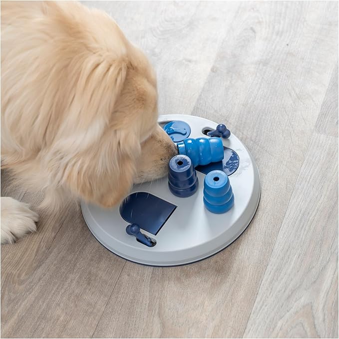 TRIXIE Flip Board XXL Dog Puzzle Toy 2) Strategy