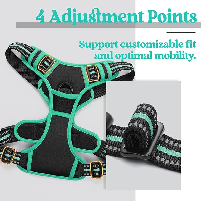 rabbitgoo Dog Harness 2 Leash