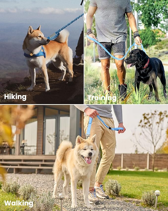 OutdoorMaster Bungee Dog Leash 2 Padded 6 FT