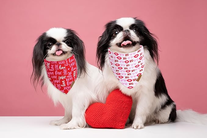 Valentines Day Dog Bandana 2 Pack