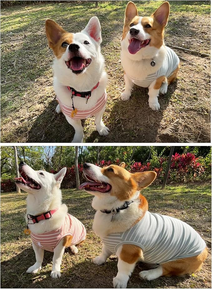 Koneseve Dog Shirt Vest Lightweight Stretchy Dog T-Shirts 2 Pack