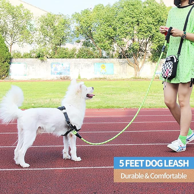 BAAPET 2/4/5/6 FT Dog Leash with Comfortable Padded Handle and Highly Reflective Threads for Small Medium and Large Dogs (5FT-1/2''