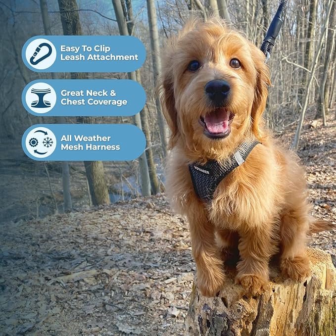 Voyager Step-in Air Dog Harness 2-Tone), L 18-20.5")