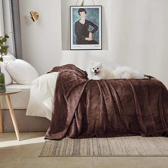 Veehoo Fluffy Fleece Dog Blanket 30x25 inch