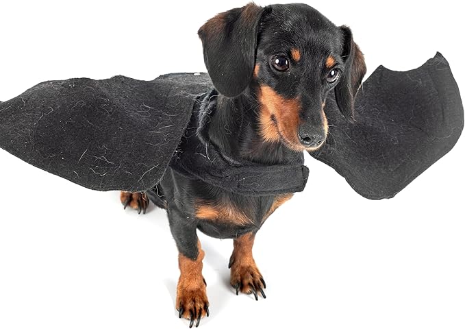 Halloween Costumes for Dogs