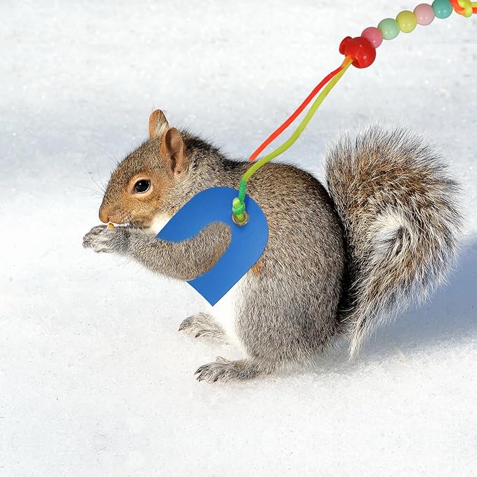 Bearded Dragon Leash & Harness 3 Size