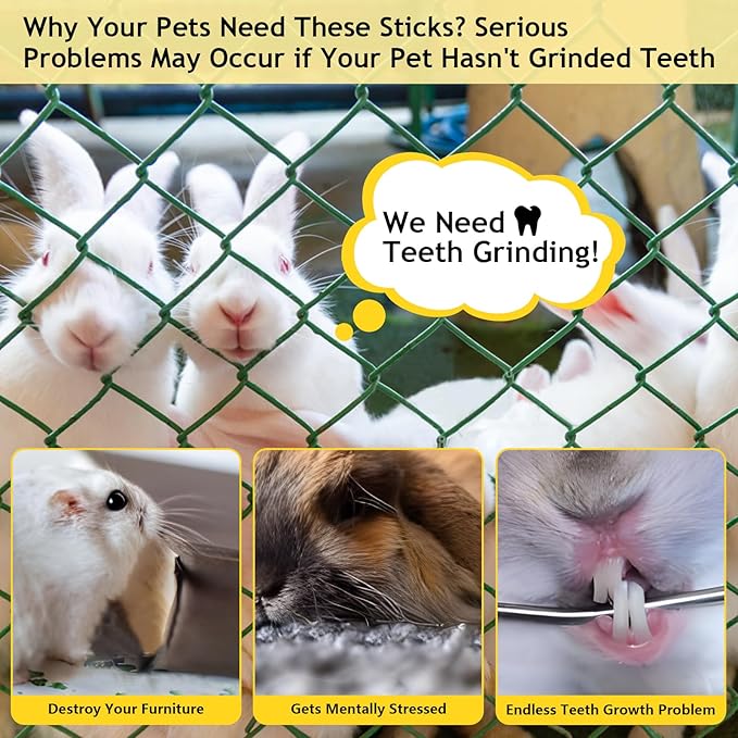 600g Organic Apple Sticks Small Animals Molar Wood Treats Toys for Chinchillas Guinea Pig Rabbits Hamster Gerbil Parrot Bunny Chew Stick Toys 21.2 OZ