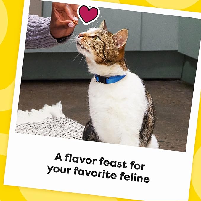Temptations MixUps Catnip Fever Flavor Crunchy and Soft Cat Treats 16 oz.