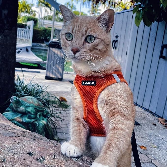 Voyager Step-in Air Dog Harness 18-20.5")