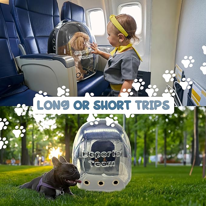 Pet Bubble Backpack Carrier