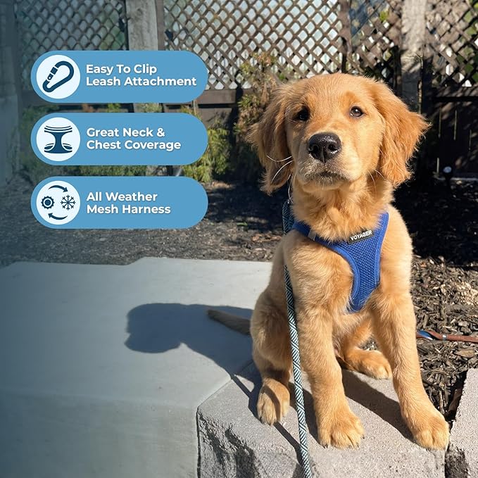 Voyager Step-in Air Dog Harness 20.5-23")