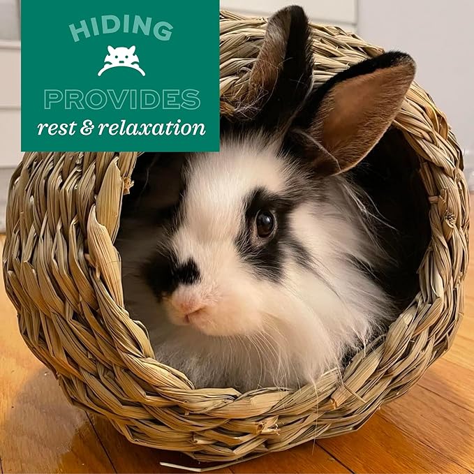 Oxbow Animal Health Timothy Hay Bungalow