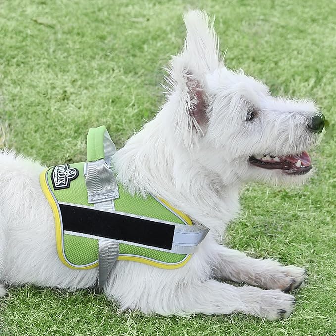 Bolux Dog Harness 1), GreenYellow)