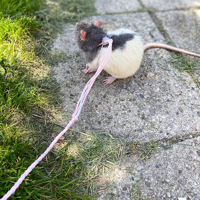 3 Pack Adjustable Hamster Leash Harness for Chinchilla