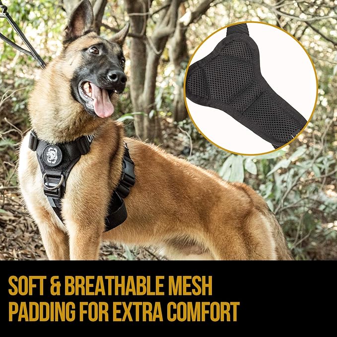 Dog Harness