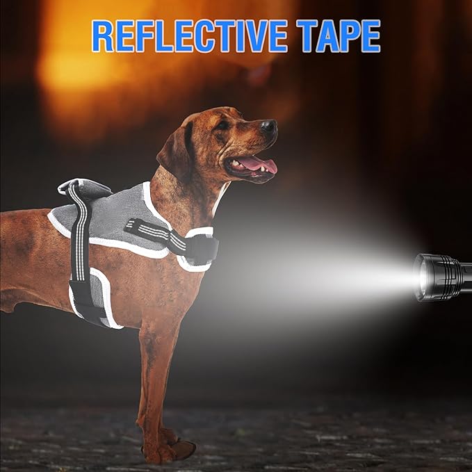 Tactical Dog Harness for Large Dogs