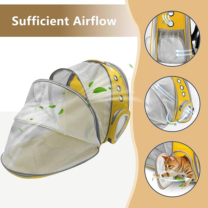 TOYSINTHEBOX Cat Backpack Carrier 13 Lbs