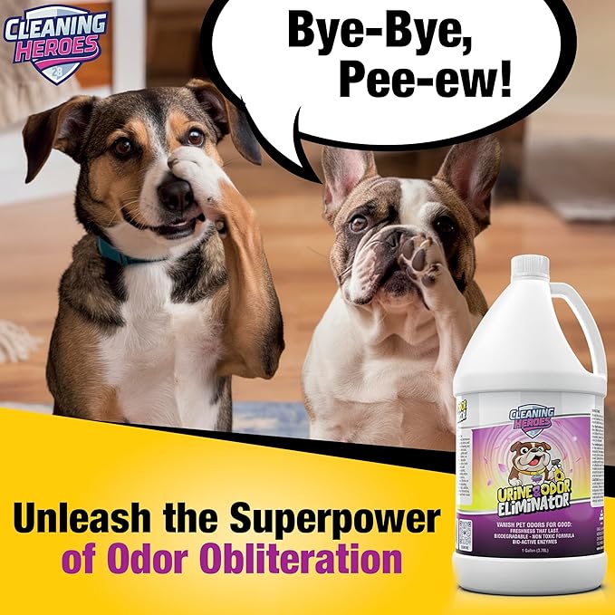 Pet Carpet Cleaner & Urine Odor Eliminator for Strong Odor 128oz Enzyme