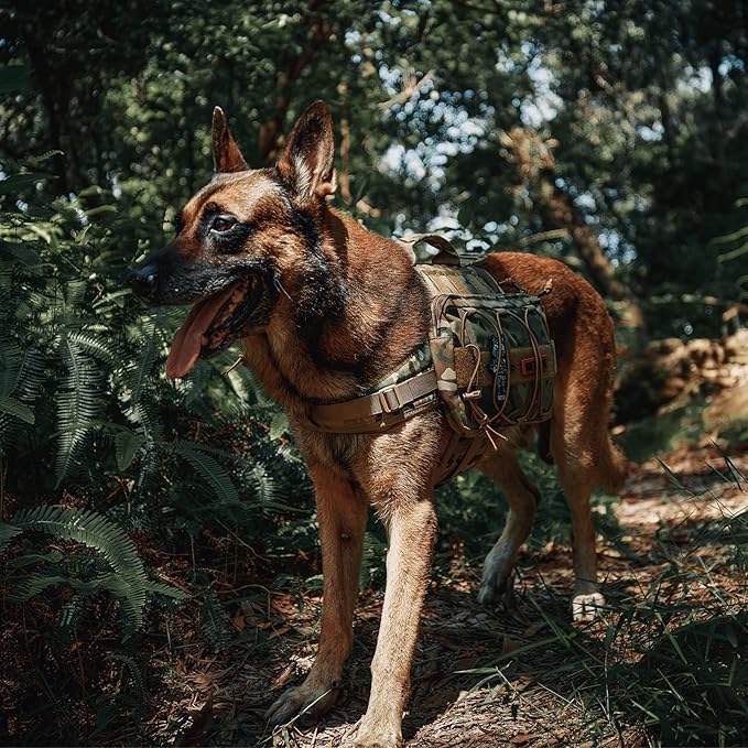 OneTigris Dog Backpack for Medium & Large Dogs
