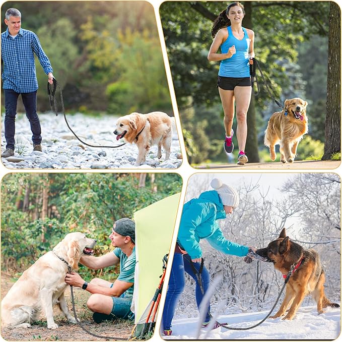 NTR 15FT Heavy Duty Dog Leash