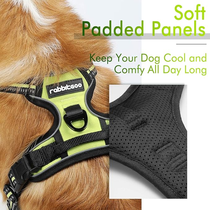 rabbitgoo Dog Harness 2 Leash