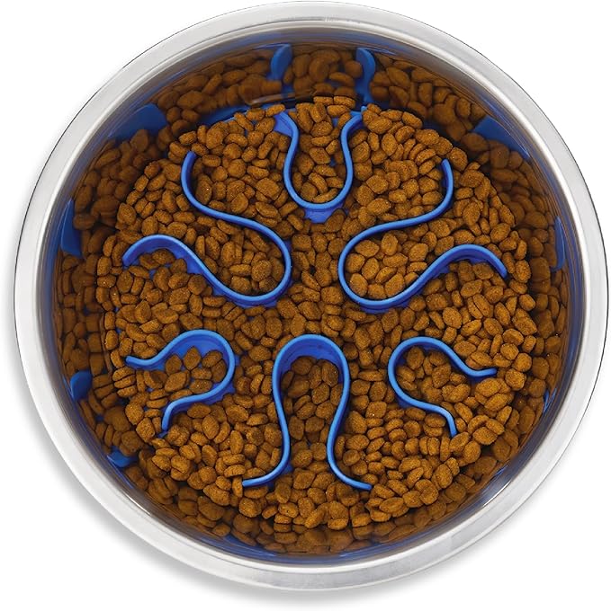 Outward Hound Fun Feeder Stainless Steel Slo Bowl Slow Feeder Stainless Steel Dog Bowl with Slow Feeder Insert