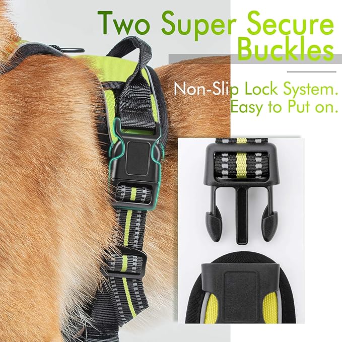 rabbitgoo Dog Harness 2 Leash