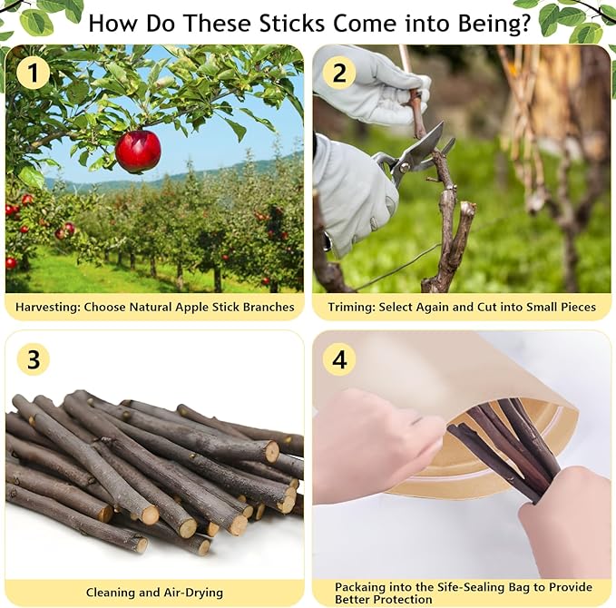 600g Organic Apple Sticks Small Animals Molar Wood Treats Toys for Chinchillas Guinea Pig Rabbits Hamster Gerbil Parrot Bunny Chew Stick Toys 21.2 OZ