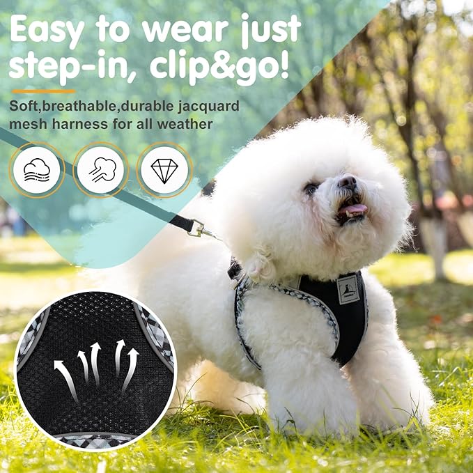 Dog Harness and Leash Set