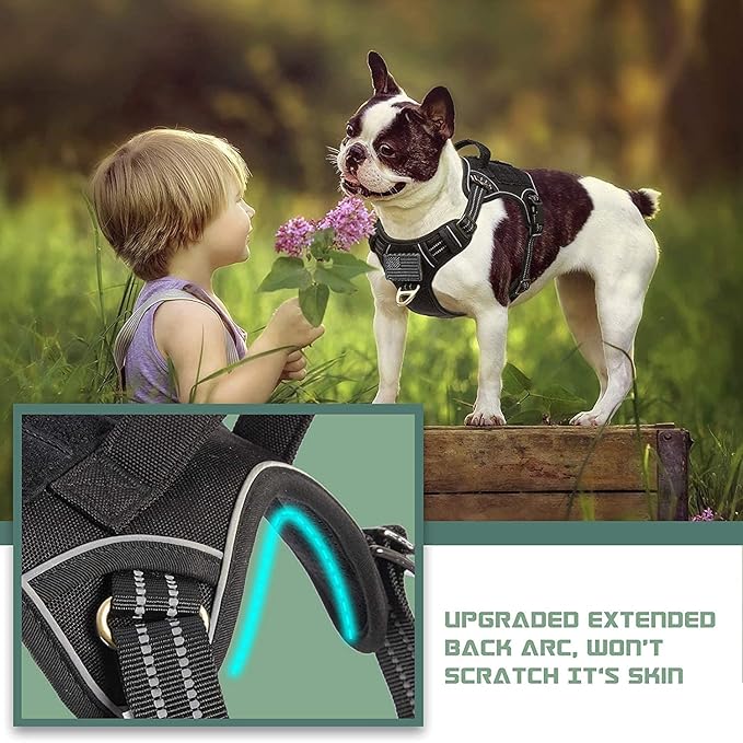 BUMBIN Tactical Dog Harness for Small Dogs No Pull