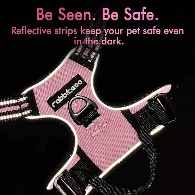 rabbitgoo Dog Harness 2 Leash