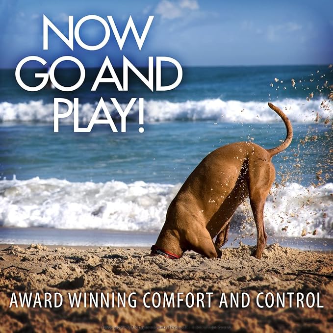 EzyDog Universal Dog Car Restraint