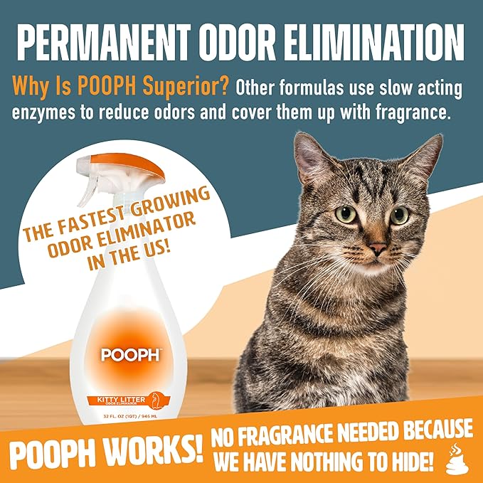 POOPH Kitty Spray - Odor Eliminator, 32oz - Dismantles Odors on a Molecular Basis, Cats, Freshener, Eliminator, Urine, Poop, Pee, Deodorizer, Fresh, Clean, Furniture, Potty, Safe