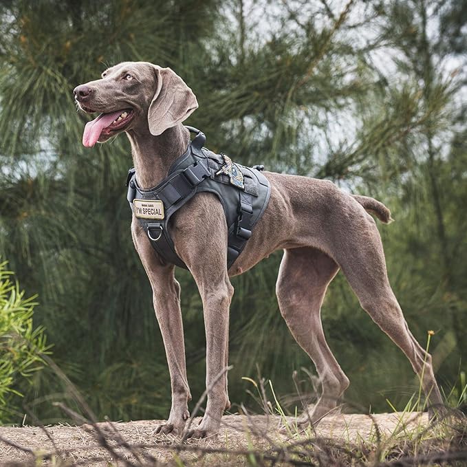 OneTigris Tactical Dog Harness Vest