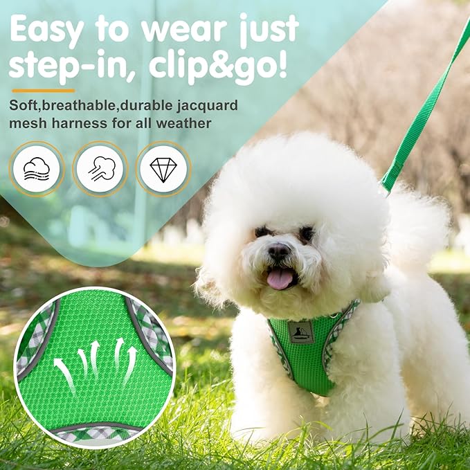 Dog Harness and Leash Set