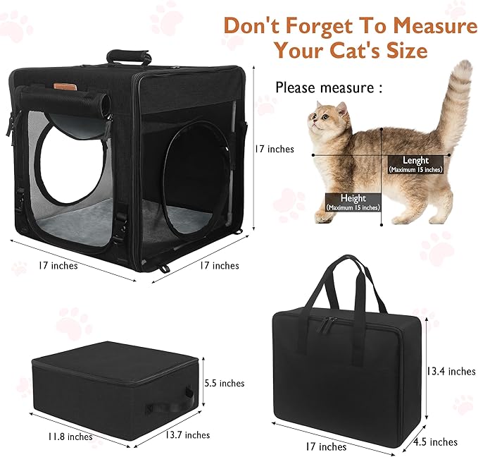 PETUX Cat Travel Carrier with Little Box
