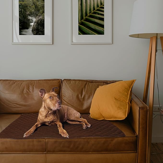 ariika Waterproof Dog Sofa Mat