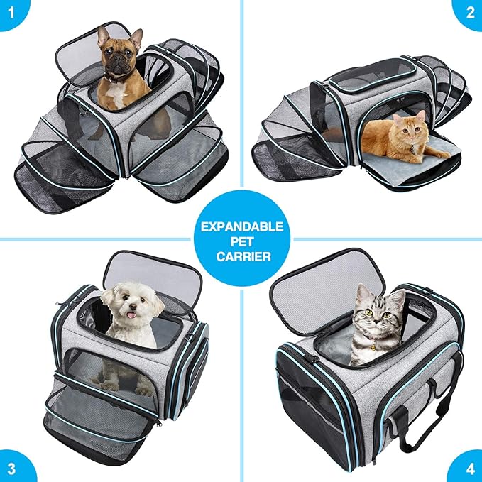 Airline Approved Pet Carrier 4 Sides