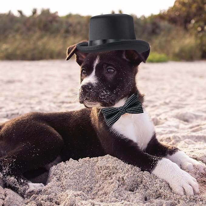 Yewong 2 Pieces Pet Formal Accessories Set