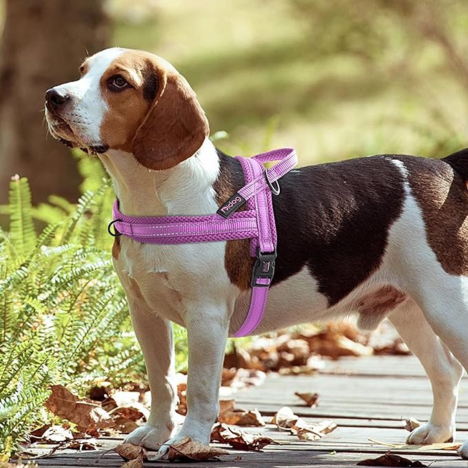 Didog No Pull Dog harness with Soft Mesh Padded