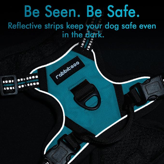 rabbitgoo Dog Harness 2 Leash