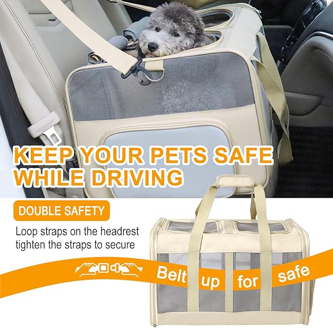 Double Compartment Cat Carrier with Wheels for 2 Small and Medium Cats 2 Cats,Ideal Traveling/Hiking/Camping,21" x 17" x 13", Not