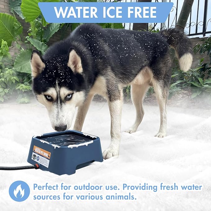 120OZ Heated Water Bowl for Dogs 38Watts Waterer