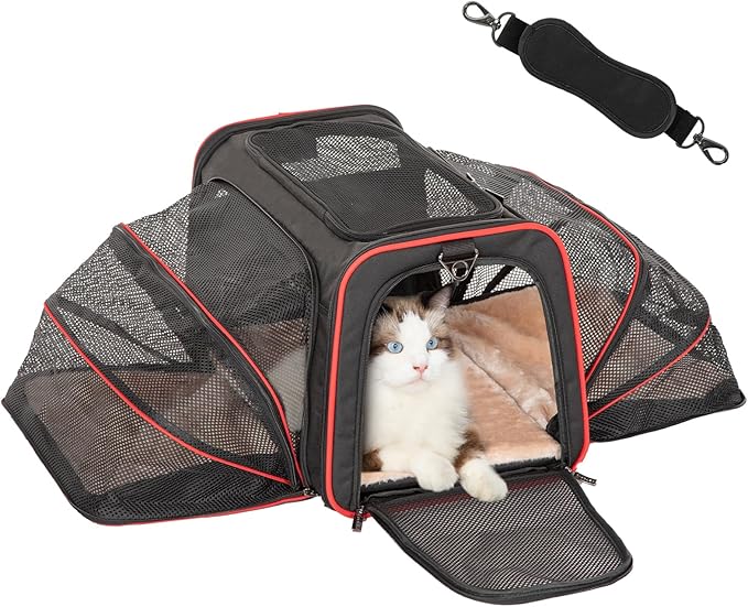 Petsfit Expandable Cat Carrier Large for 2 Cats 19x12x12 Inches, 2 Extensions 15 Lbs,