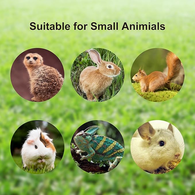 2pcs Ferret Harness and Leash Set 8 Harness