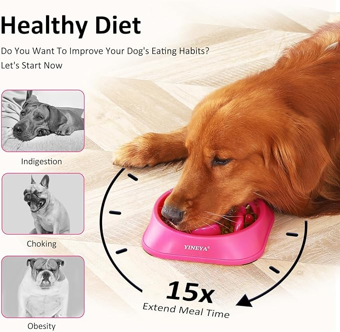 Slow Feeder Dog Bowls Large Breed
