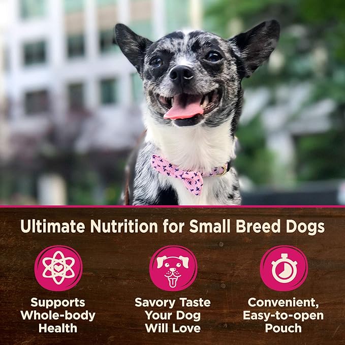 Wellness CORE Natural Grain Free Small Breed Mini Meals Wet Dog Food, Pate Beef & Chicken Dinner, 3-Ounce Pouch (Pack of 12)