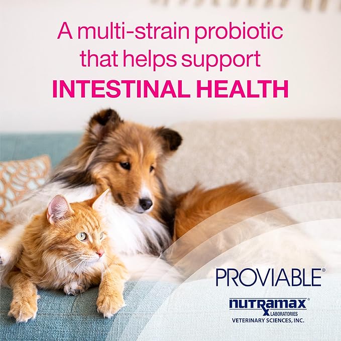 Nutramax Proviable Digestive Health Supplement Multi-Strain Probiotics and Prebiotics for Cats and Dogs 7 Strains 80 Capsules,